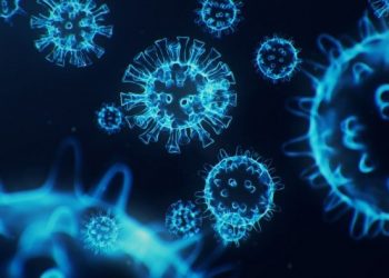 What do we know about the C.1.2 variant?