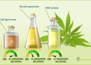 Full Spectrum Hemp Oil vs. Isolated the difference