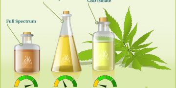 Full Spectrum Hemp Oil vs. Isolated the difference