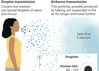 How is COVID-19 transmitted?