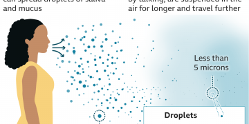 How is COVID-19 transmitted?