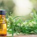Fibromyalgia swapping opioids for CBD to manage pain