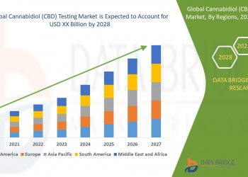 Global $13.4 Billion Cannabidiol Market to 2028