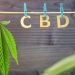 Marijuana-Cannabis-THC-CBD – Definitions and