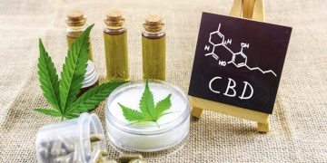 Where Does CBD Come From?
