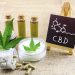 Where Does CBD Come From?